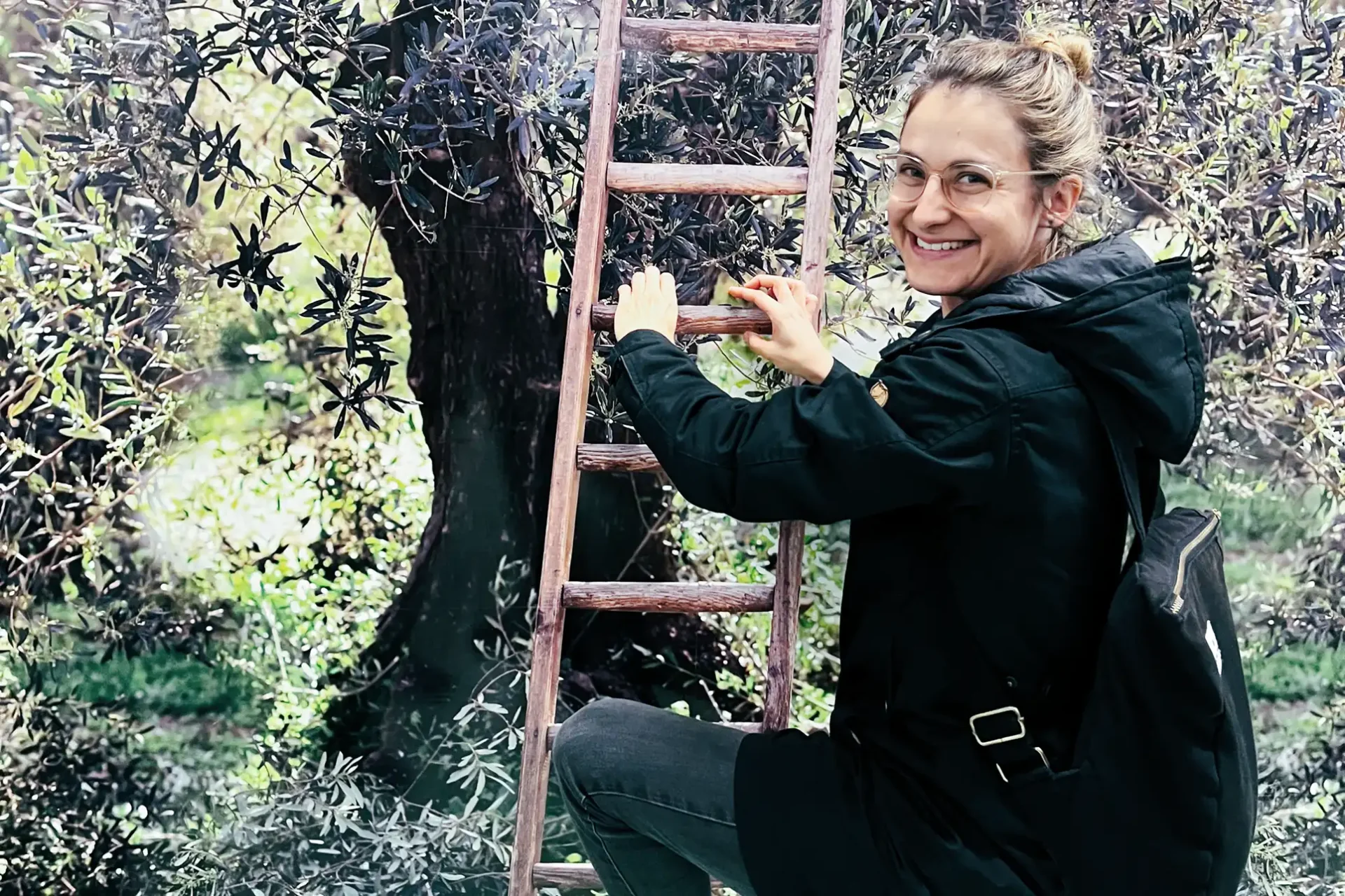 Hannah Ottmann mt der Leiter am Ölbaum.